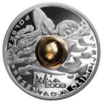 Srebrna Moneta Inwestycyjna z motywem sportowym. Srebrna moneta Polska Reprezentacja Olimpijska Pekin 2008 10 zł – awers i rewers, moneta kolekcjonerska NBP